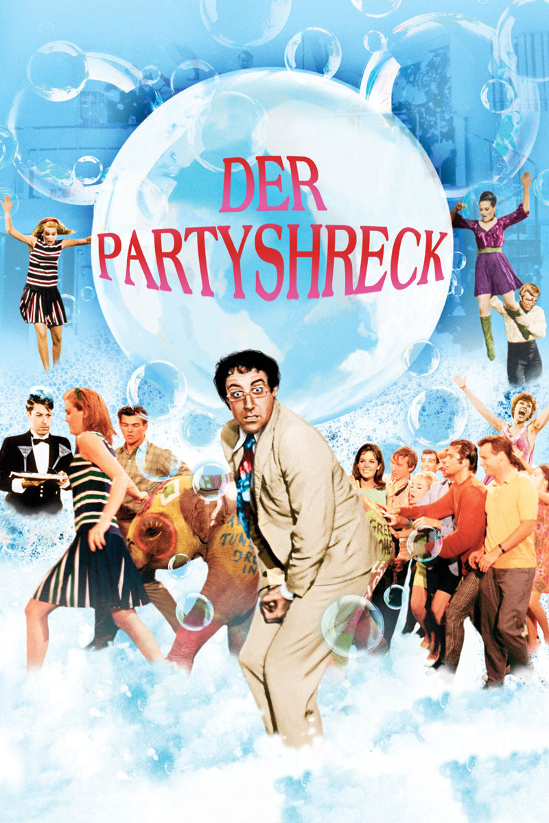 DVD-Cover: Der Partyschreck (2013)